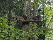 Wegweiser aus Holz an einem Baum