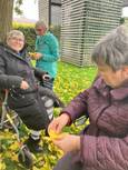 Auf dem Foto sind drei Frauen in einem herbstlichen Park zu sehen. Zwei Frauen sitzen auf ihren Rollatoren, eine Frau steht im Hintergrund. Zwei der Frauen halten gelbe Herbstblätter in den Händen.