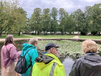 Auf dem Foto sind vier erwachsene Menschen von hinten zu sehen. Sie stehen am Rand eines Teiches in einem Park.